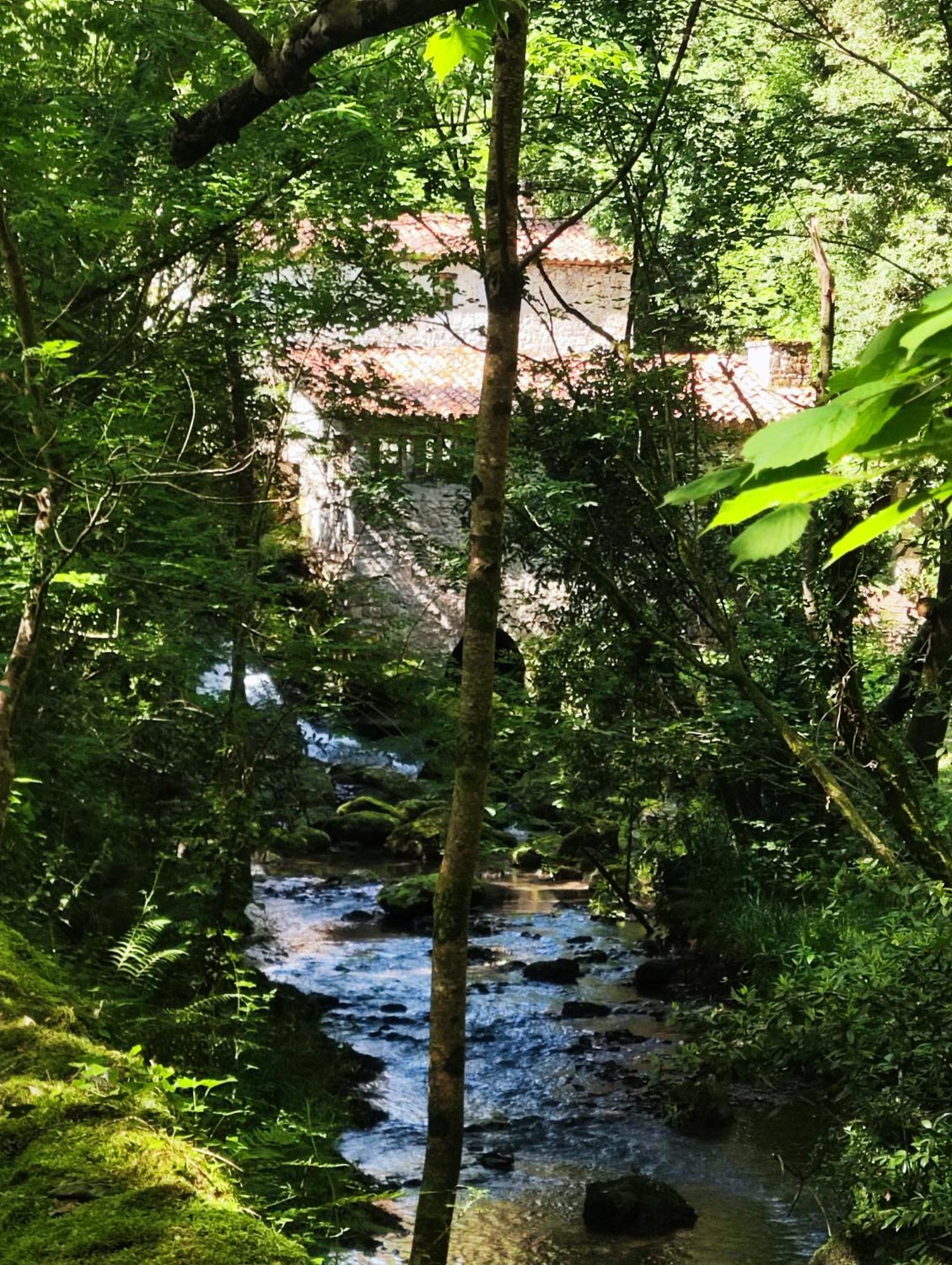 Posada El Remanso De Trivieco La Cavada Exterior foto